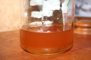 Apple Cider Vinegar ~ Lifeofjoy.me