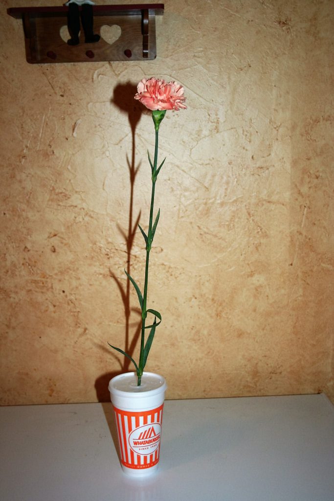 Mother's Day Carnation ~ Lifeofjoy.me