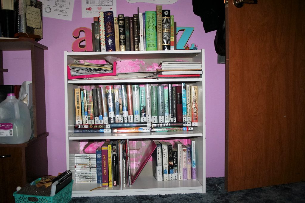 Painted bookshelf ~ Lifeofjoy.me