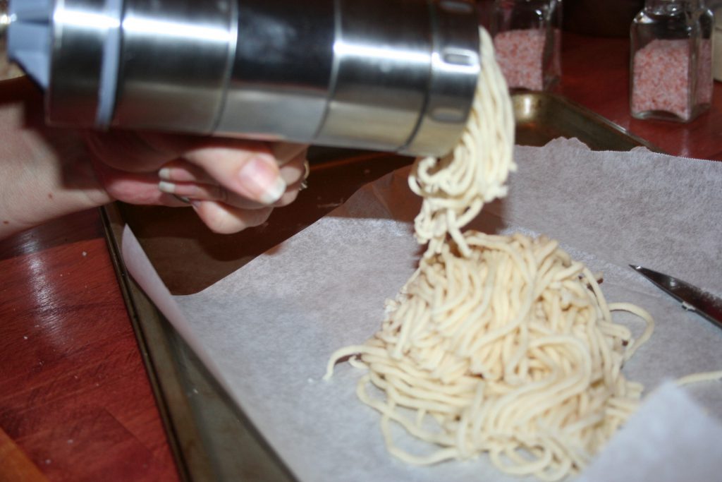 Homemade low carb noodles ~ Lifeofjoy.me
