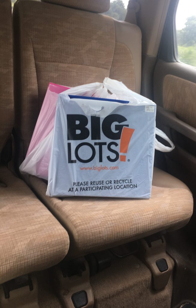 Big Lots for the score ~ Lifeofjoy.me