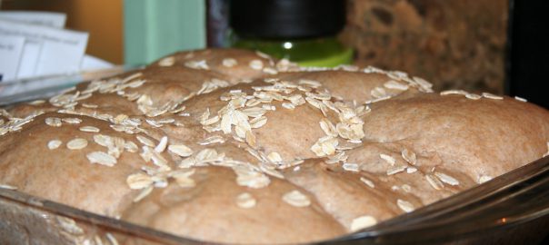 Sprouted Spelt Rolls ~ Lifeofjoy.me
